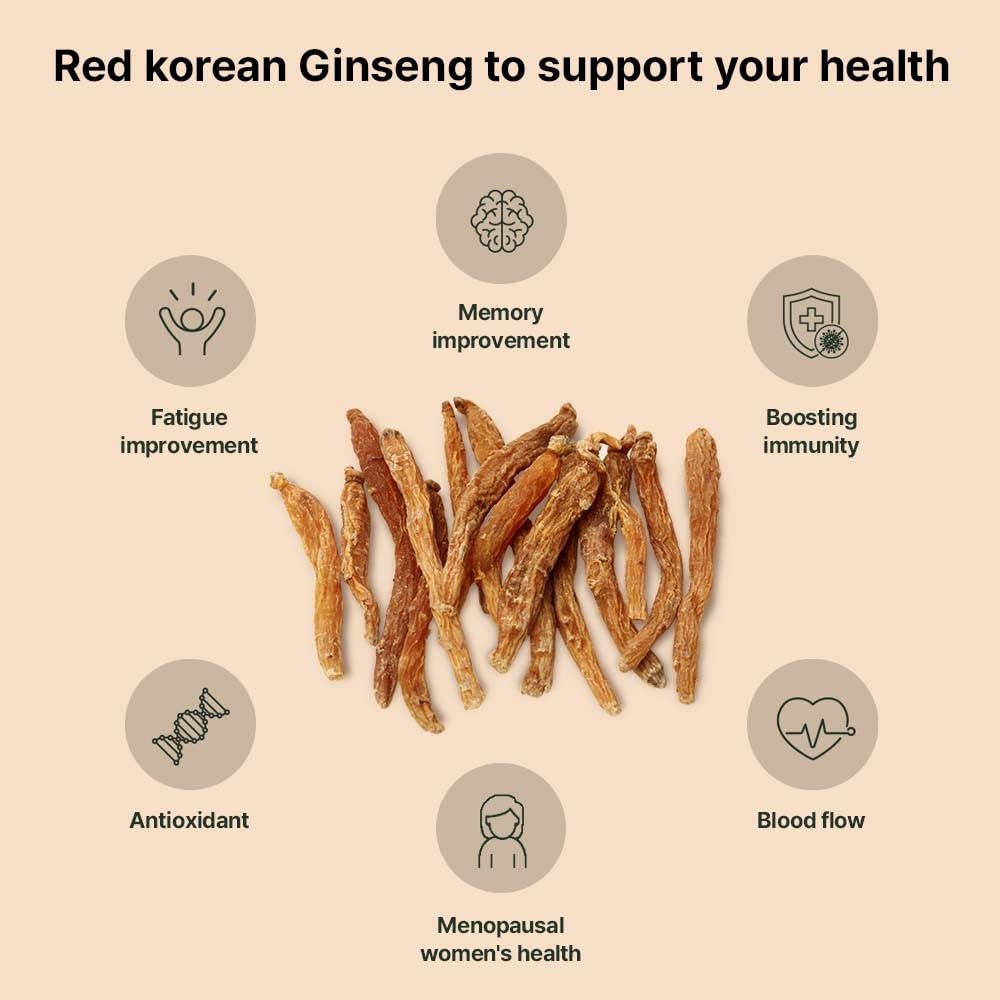 K-Herb Premium Korean Red Ginseng Sticks – 60 Sticks, 25mg Ginsenoside