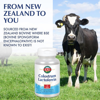 KAL Colostrum Lactoferrin with 20% Immunoglobulins | Immune Support | 30 Servings | 60 Caps