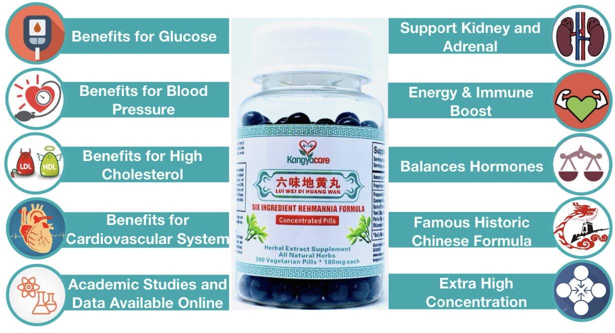 Kangyacare Liu Wei Di Huang Wan 六味地黄丸 – Six Ingredient Rehmannia Formula | Energy & Immune Support | All Natural | 400 Ct (2 Bottles)