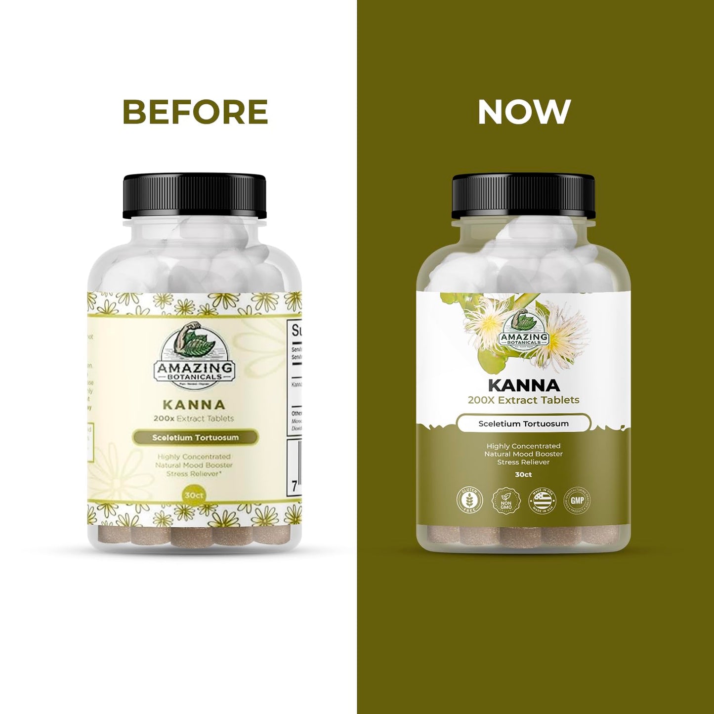 Amazing Botanicals Kanna Extract Tablets – Sceletium Tortuosum (10,000 mg per Tablet) – 30 Tablets