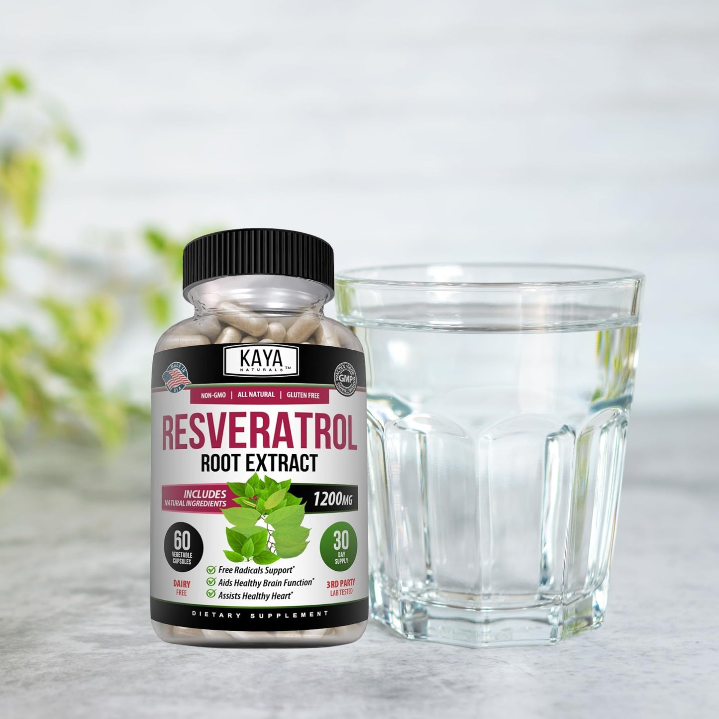Kaya Naturals Resveratrol Capsules - Anti-Aging Antioxidants with Brain Support | 60 Veggie Capsules per Bottle (Pack of 6)