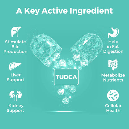 Kayseari TUDCA Bile Salts Supplement 1000mg – 120 Veggie Capsules | Liver Support