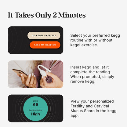 kegg Fertility Tracker + Free Fertility App | Gold | Discover Your Most Fertile Days | No Recurring costs | Predicts Fertile Window | Helps Exercise Pelvic Floor Muscles
