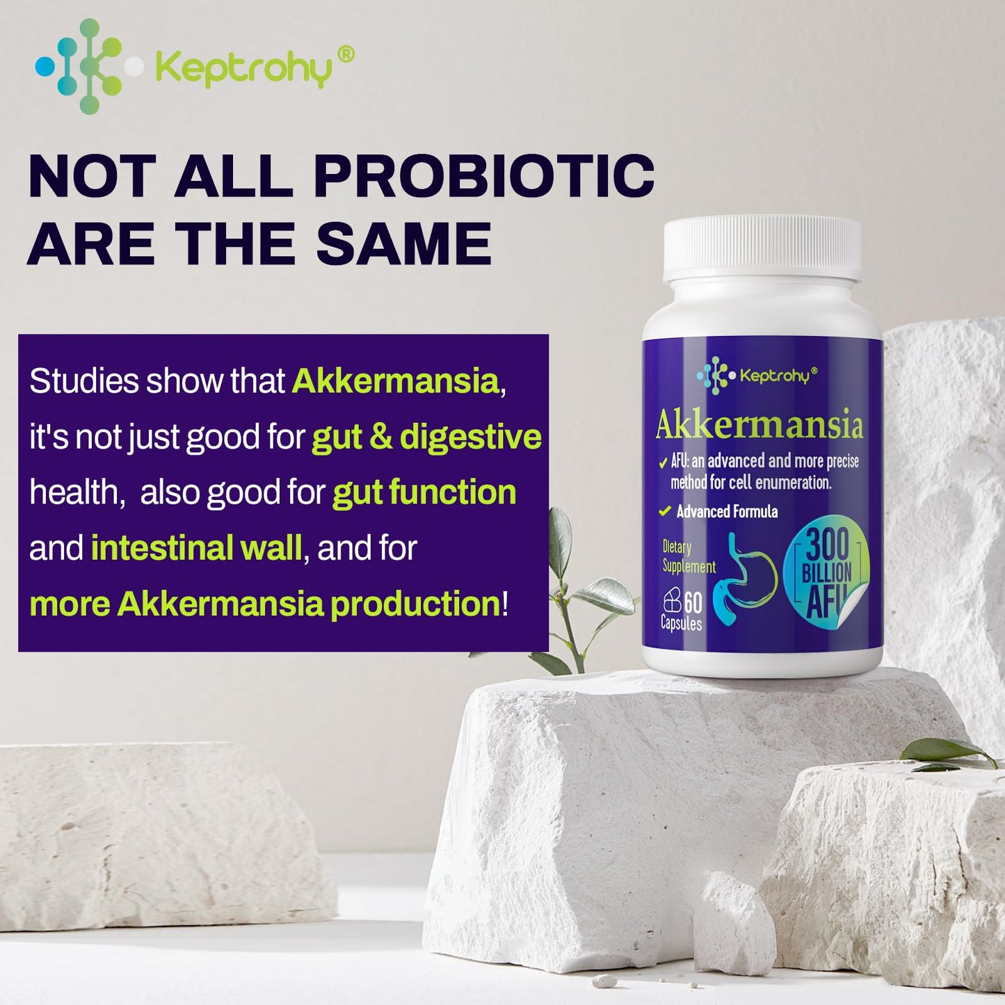 Keptrohy 300 Billion AFU Akkermansia Probiotic for Gut Health | 120 Count