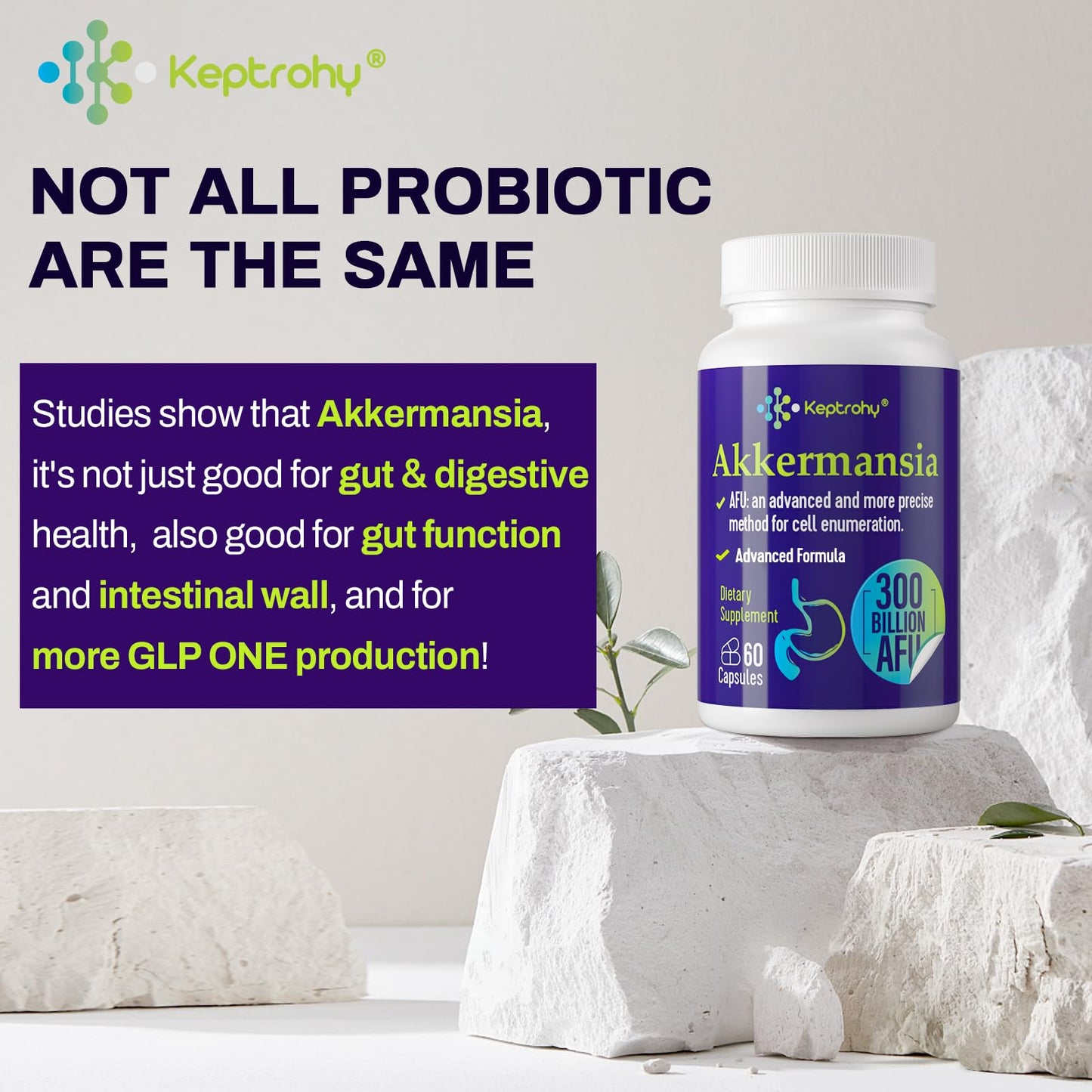 Keptrohy 300 Billion AFU Akkermansia Probiotic for Digestive Support – 60 Capsules