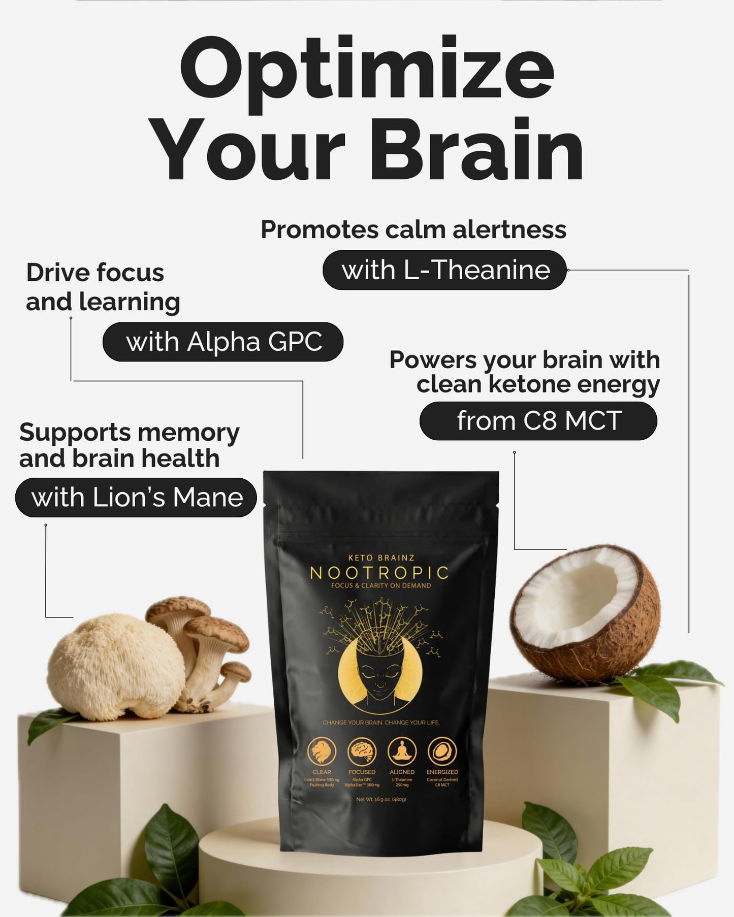 Keto Brainz C8MCT Nootropic Creamer – 500mg Lion’s Mane, AlphaGPC & L-Theanine | 16oz, 30 Servings