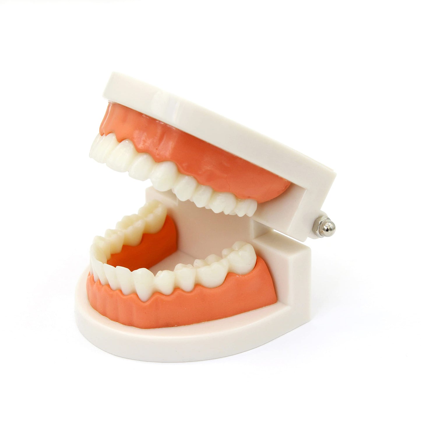 Kiddison Brushing Teeth Activity Set – Montessori Practical Life