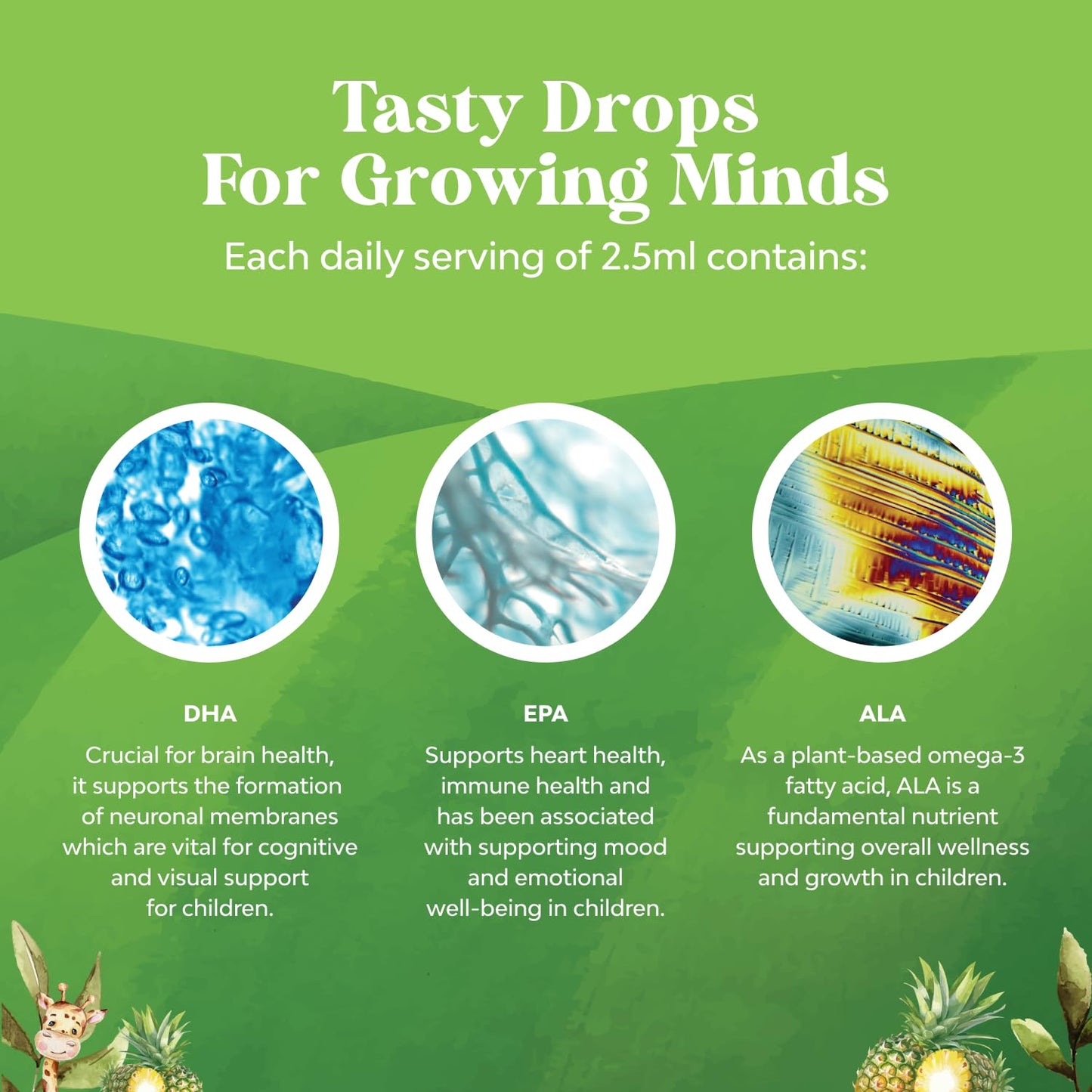 Kids DHA Omega-3 Drops – Brain, Immune & Vision Support | Vegan Fish-Free (2 oz)