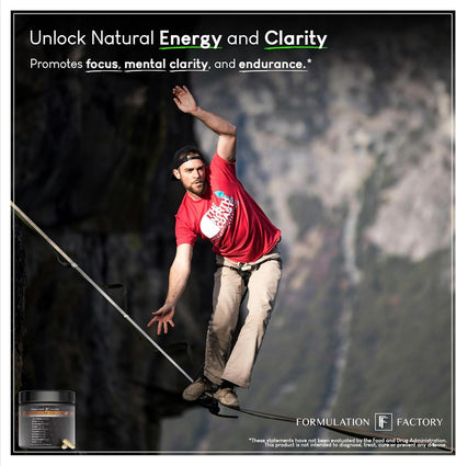 Formulation Factory Shroom Vroom 10-in-1 Mushroom Supplement — Focus, Energy & Immune Support