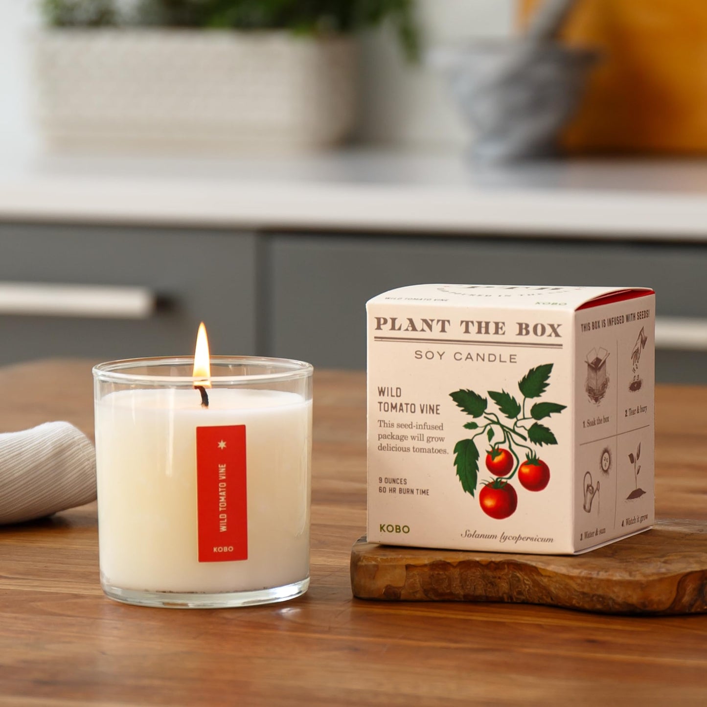 KOBO Wild Tomato Vine Candle | Plantable Box | 9 oz Soy Wax