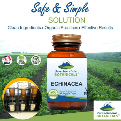 Pure Mountain Botanicals Echinacea Capsules – 420mg Organic Echinacea Root, Kosher & Vegan