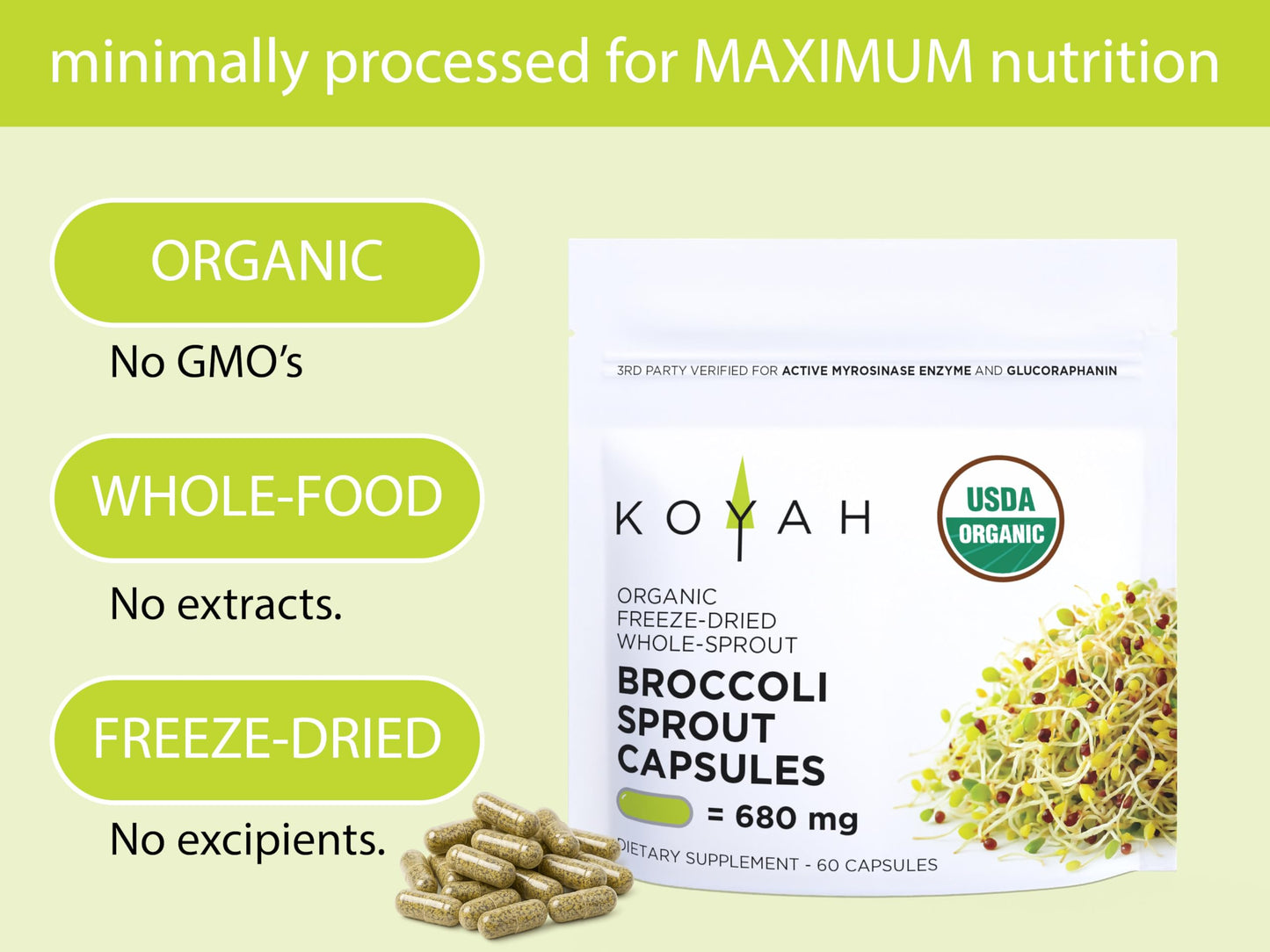 KOYAH Organic Broccoli Sprout Capsules – Freeze-Dried Whole Sprouts, Active Myrosinase & Glucoraphanin, USA Grown, 150 Capsules