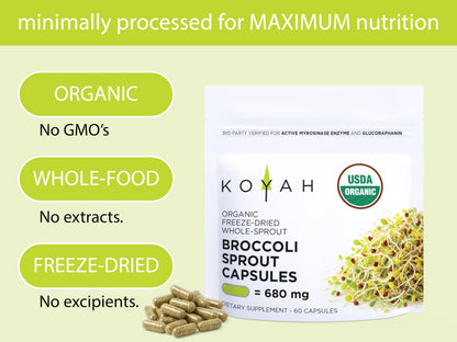 KOYAH Organic Broccoli Sprout Capsules – Freeze-Dried Whole Sprouts, Active Myrosinase & Glucoraphanin, USA Grown, 150 Capsules