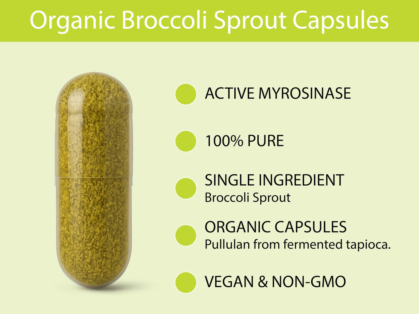 KOYAH Organic Broccoli Sprout Capsules – Freeze-Dried Whole Sprouts, Active Myrosinase & Glucoraphanin, USA Grown, 150 Capsules