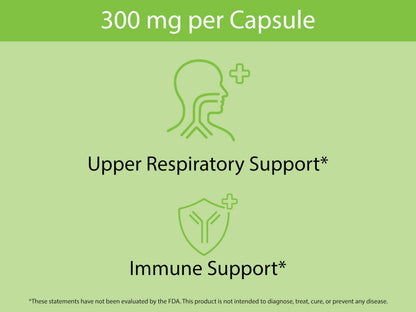 KOYAH Organic Stinging Nettle Leaf Capsules – Freeze-Dried 300 mg (2,400 mg Fresh) – Immune & Respiratory Support – 60 Capsules