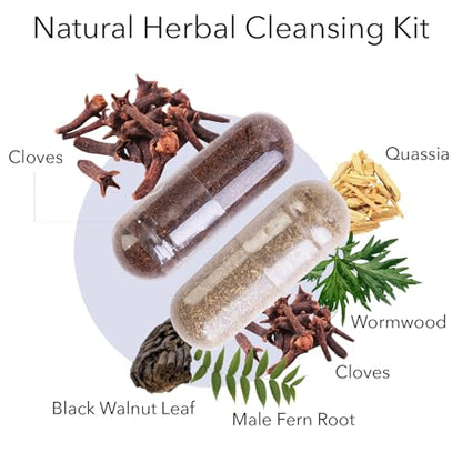 Kroeger Herb Wormwood Detox Kit – Capsules, Non-GMO & Gluten Free, Made in USA