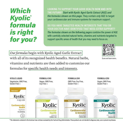 Kyolic Aged Garlic Extract Formula 300 – Cardiovascular Health, Vegan, 360 Capsules