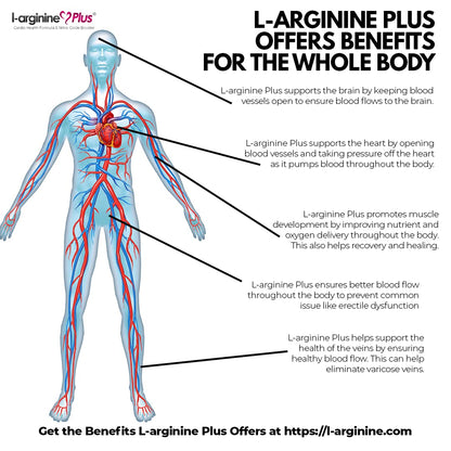 L-arginine Plus - 5110mg L-Arginine & 1010mg L, 13.4 oz | Nitric Oxide Booster