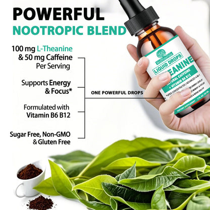 L-Theanine Caffeine Liquid Drops – High Potency 100mg L-Theanine + Caffeine, B12 & B6 | Nootropic Energy & Focus