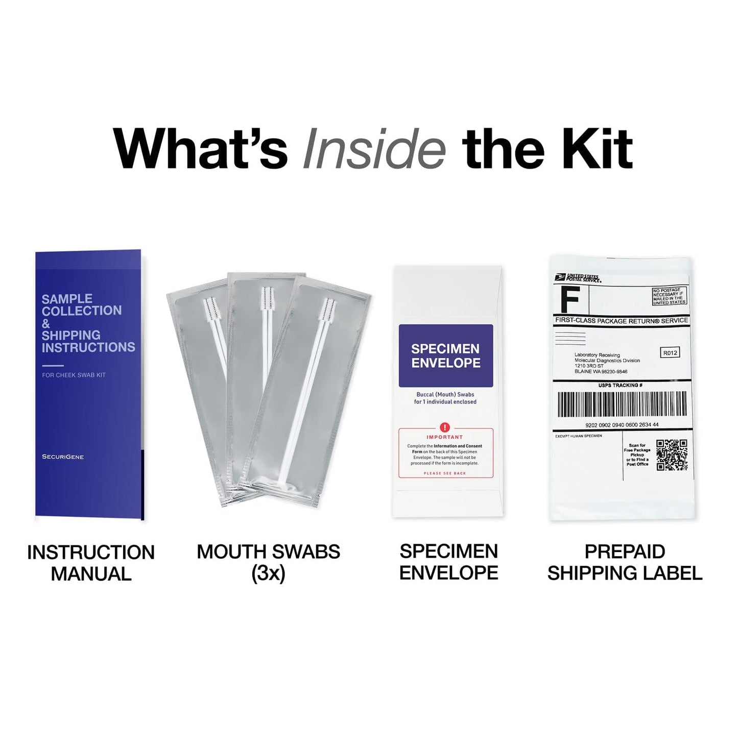 Premium DNA Paternity Home Test Kit – Results in 1-3 Business Days, Free Return Shipping | SecuriGene Labs