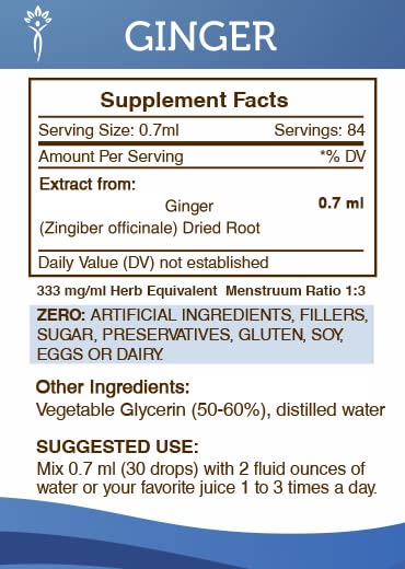 Secrets of the Tribe Ginger Tincture – Alcohol-Free Extract, 2 oz