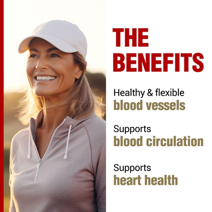 LABO Nutrition VesseCLEAR EX: Nattokinase NSK-SD + Elastin F for Clean & Flexible Blood Vessels — 90 Capsules