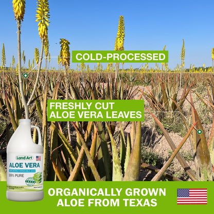 Land Art Pure Aloe Vera Juice Unflavored – 99.7% Organic, Cold-Processed, 64 oz Pack of 2