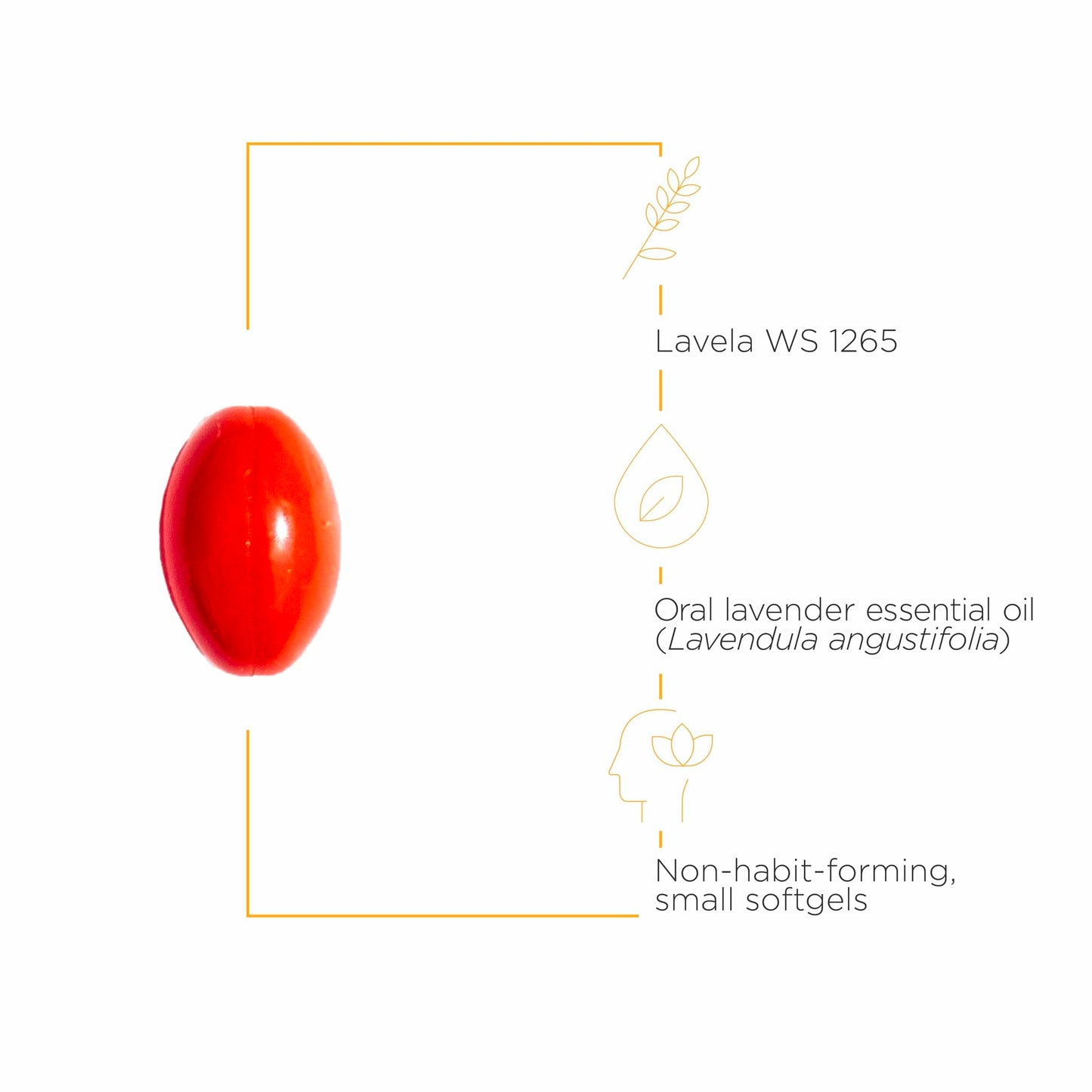 Integrative Therapeutics Lavela WS 1265 – Lavender Oil Softgels for Sleep & Stress Support (Dairy-Free)