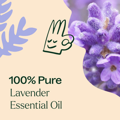 Plant Therapy Lavender Essential Oil - 100% Pure, Undiluted, Therapeutic Grade, 100 mL