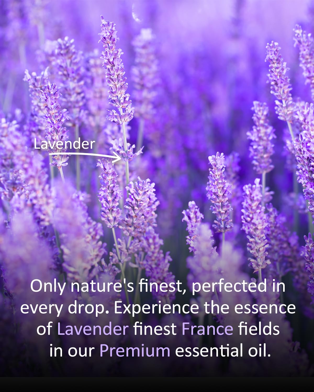 Premium Lavender Essential Oil 4 oz for Relaxation, Diffusers, Candles, Nails & Soaps