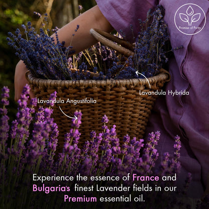 Majestic Pure Lavender Essential Oil (4 Oz x 2) – 100% Pure & Natural with Glass Dropper