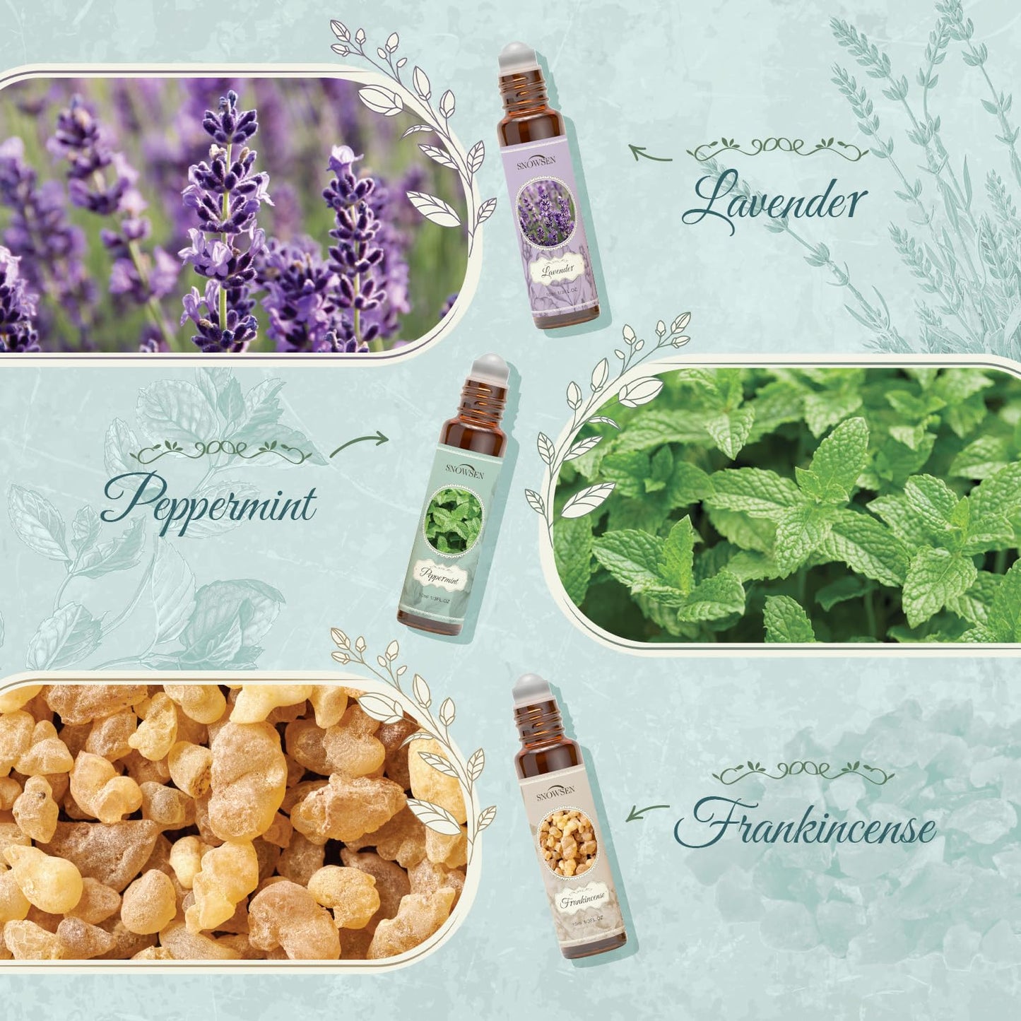 Essential Oils Roll-On Set – 6x10ml Aromatherapy Oils (Lavender, Peppermint, Frankincense, Eucalyptus, Lemon, Myrrh)