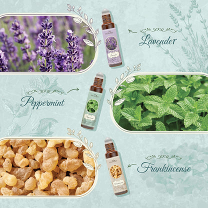 Essential Oils Roll-On Set – 6x10ml Aromatherapy Oils (Lavender, Peppermint, Frankincense, Eucalyptus, Lemon, Myrrh)
