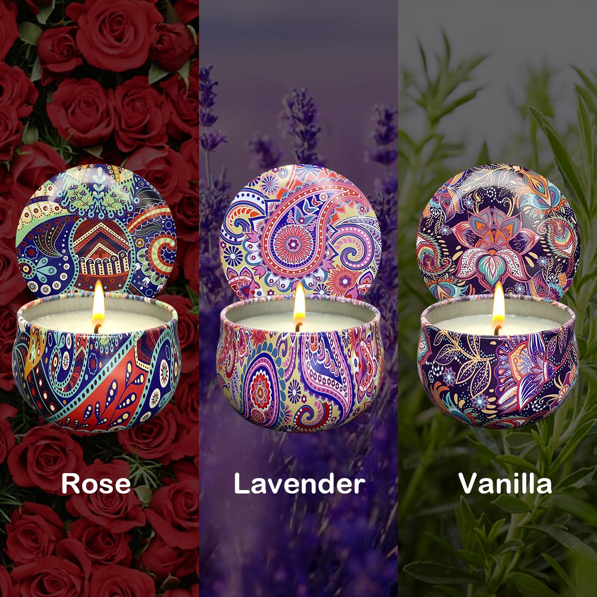 3 Pack Home Scented Candles – Lavender, Vanilla & Rose | 2.5 oz Soy