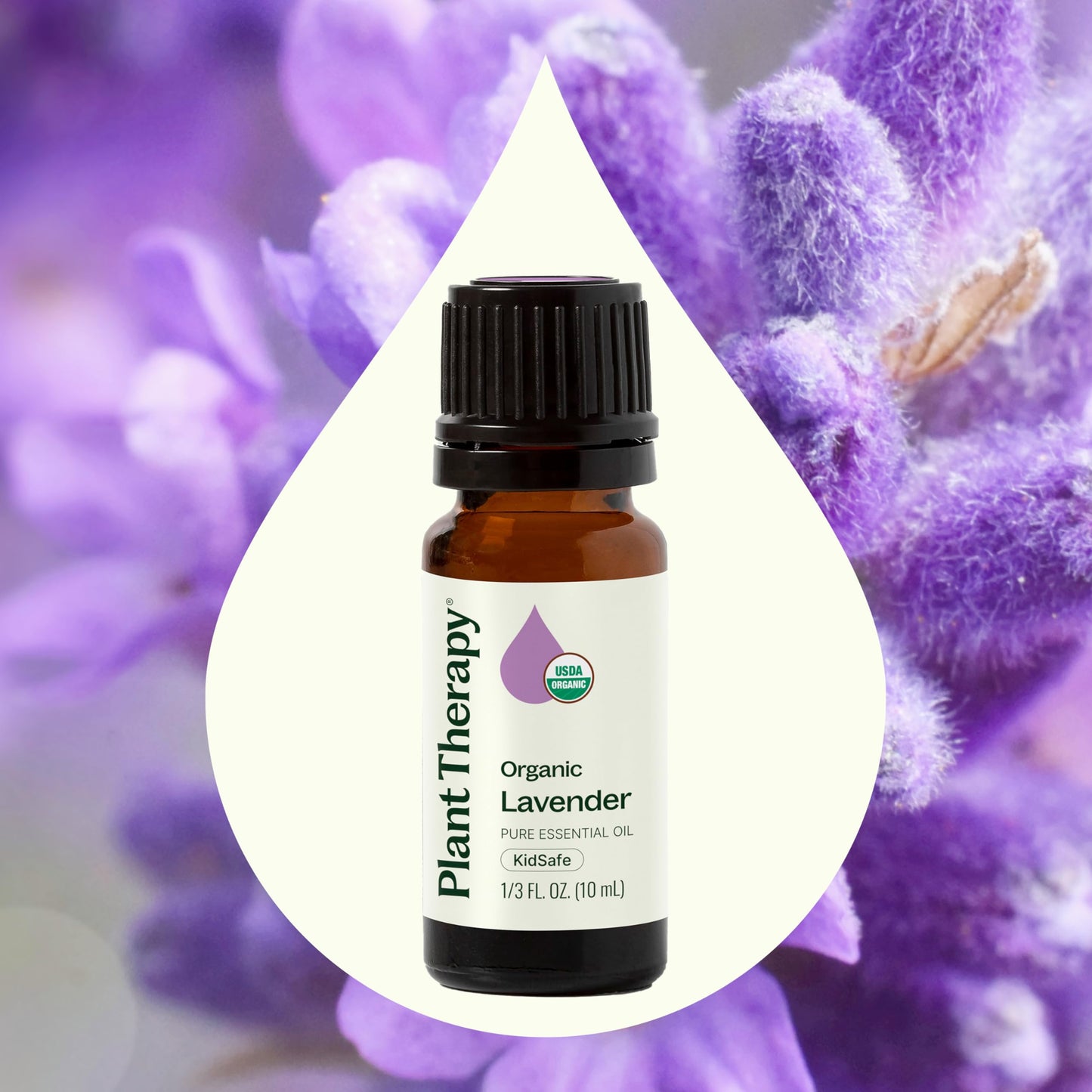 Plant Therapy Organic Lavender Essential Oil – 100% Pure, USDA Organic, 10 mL