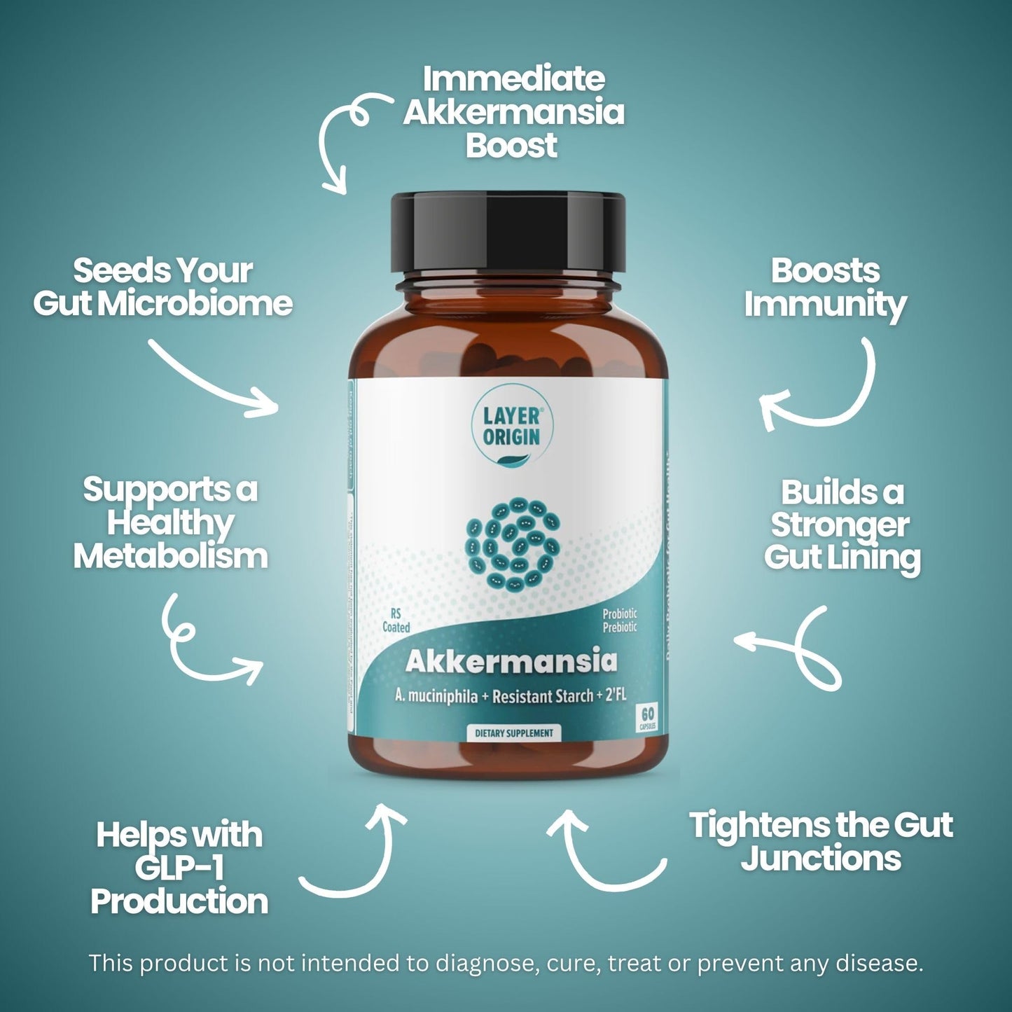 Layer Origin Akkermansia muciniphila Probiotic – PureHMO Prebiotic, Live Strain, 30-Day