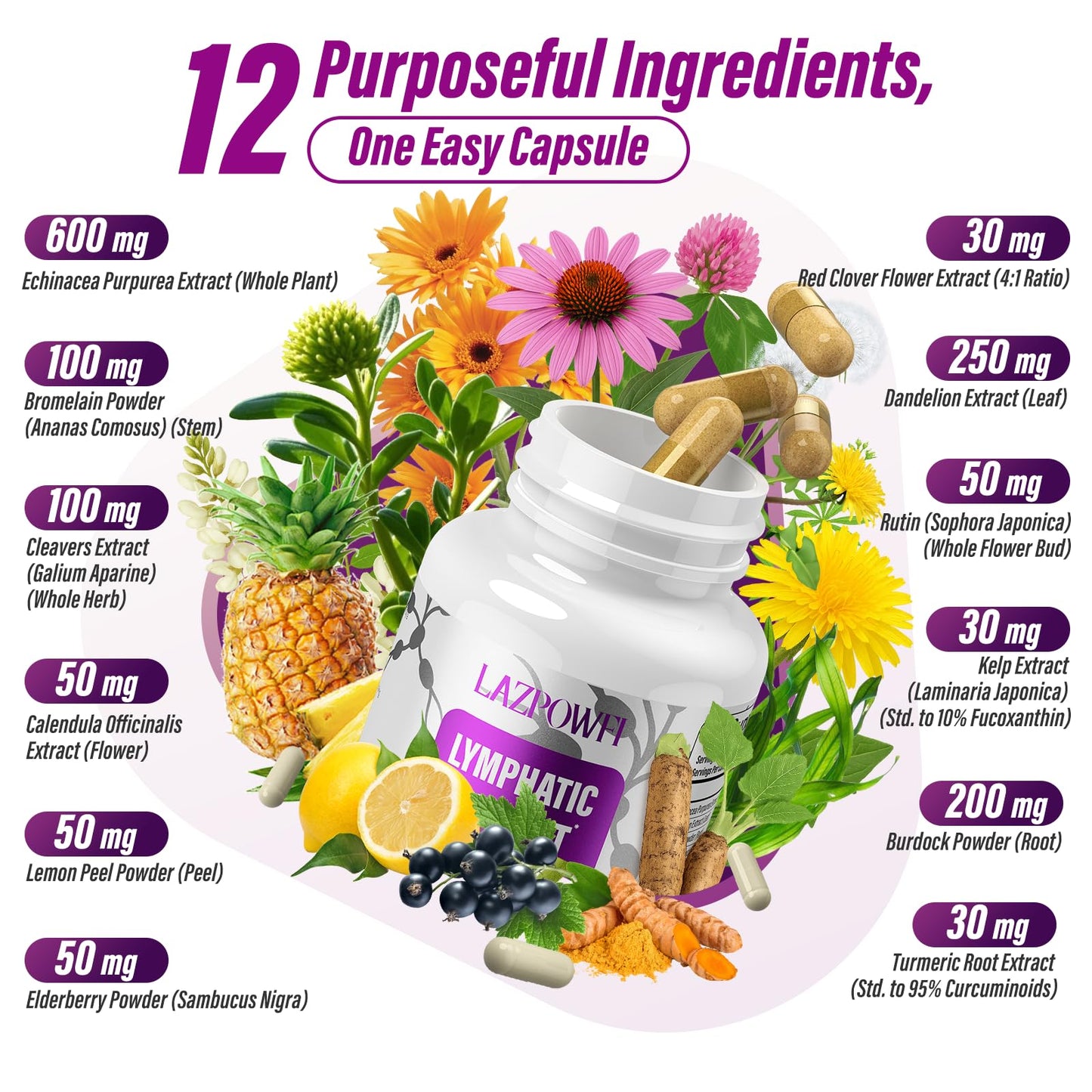 Lazpowfi Lymphatic Drainage Supplement – 120 Capsules with Echinacea, Dandelion & Turmeric