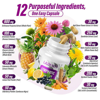 Lazpowfi Lymphatic Drainage Supplement – 120 Capsules with Echinacea, Dandelion & Turmeric