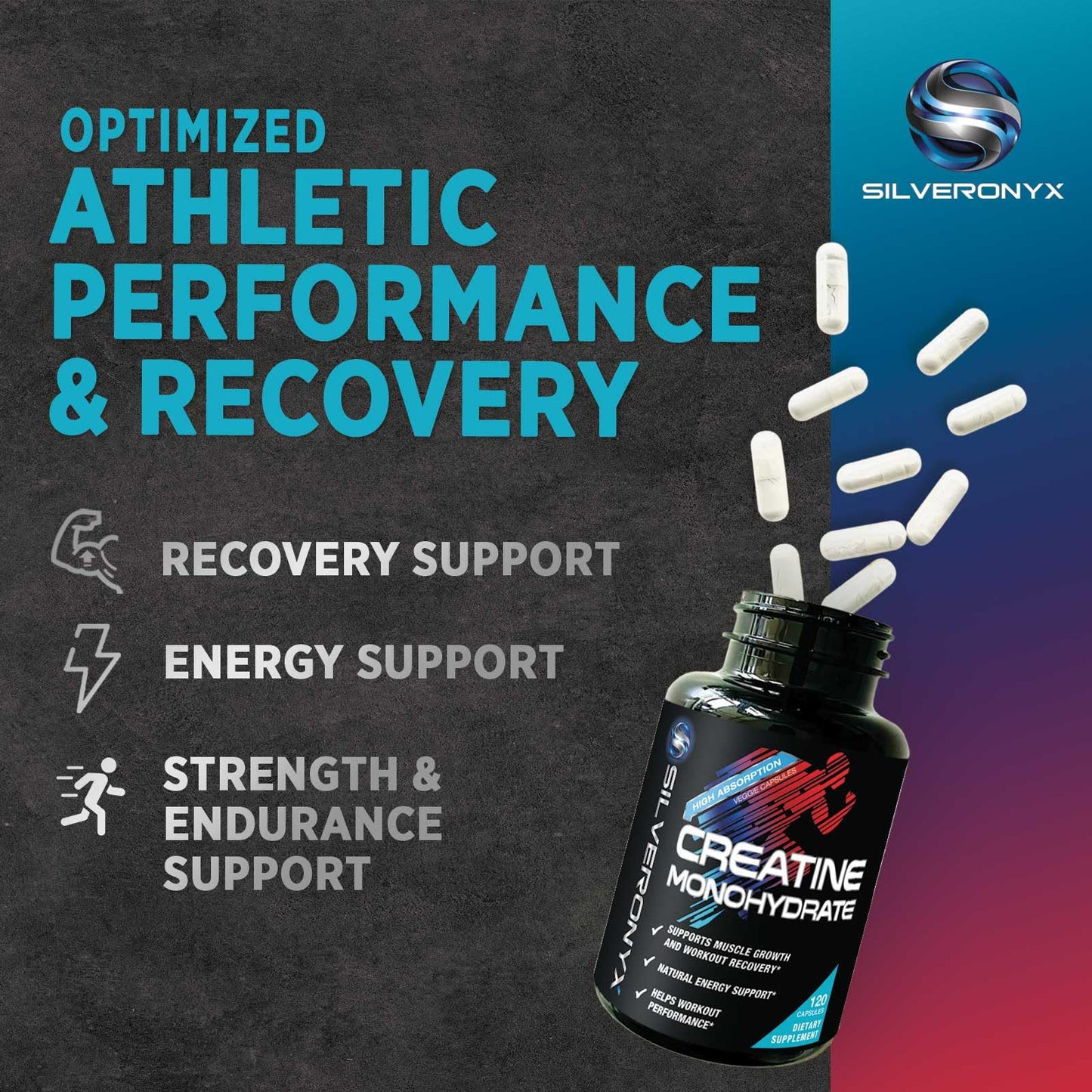 Creatine Monohydrate Capsules 3000mg – Micronized, Fast-Absorbing | 120 Caps