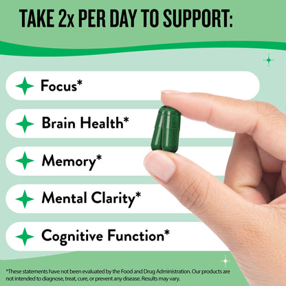Legendairy Milk Clever Girl: Focus Support with Lion’s Mane & Citicoline | Memory & Mental Clarity for Women | 30 Servings
