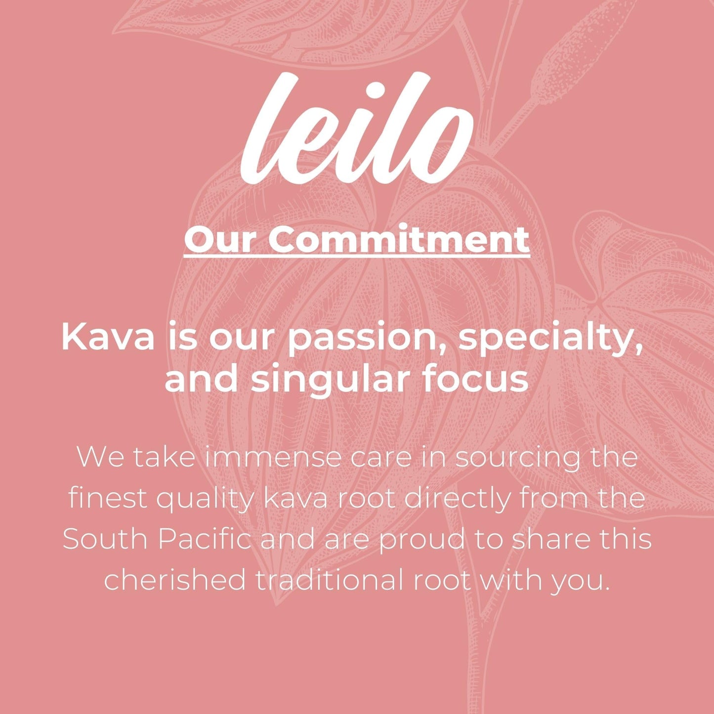 LEILO Kava-Powered Sparkling Relaxation Drink | Raspberry Hibiscus 12-Pack | Non-Alc Calming Beverage