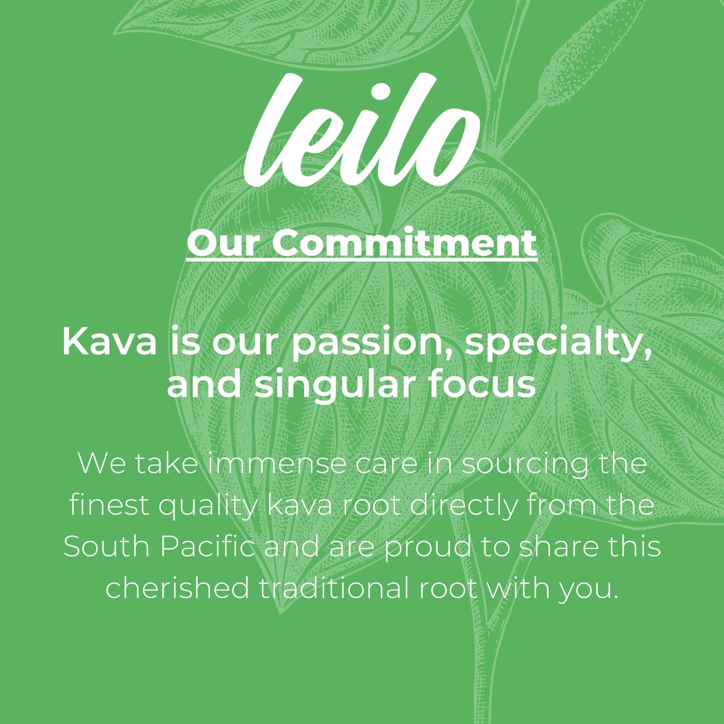 LEILO Kava Powered Sparkling Relaxation Drink | Classic Variety Pack – Raspberry Hibiscus, Tangerine Mango & BlackBerry Orange (12 x 12 oz Cans)