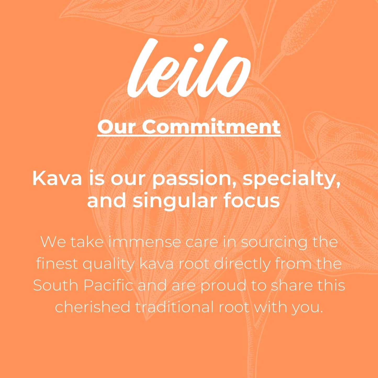 LEILO Tangerine Mango Kava Sparkling Drink – 12-Pack Non-Alc Calming Beverage
