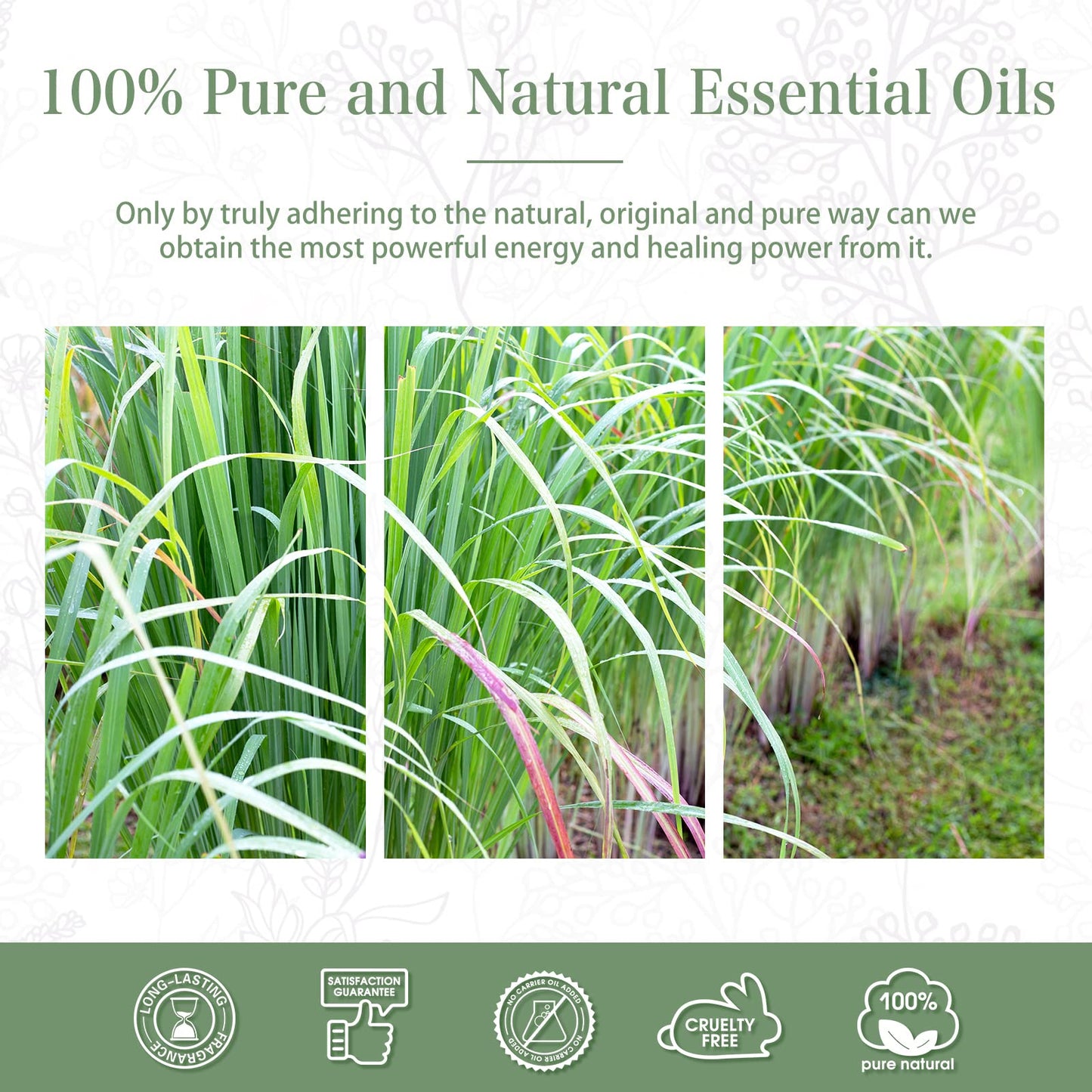 Lemongrass Essential Oil 30ml | PHATOIL - Long-Lasting Aromatherapy for Diffusers, DIY Soap & Candles