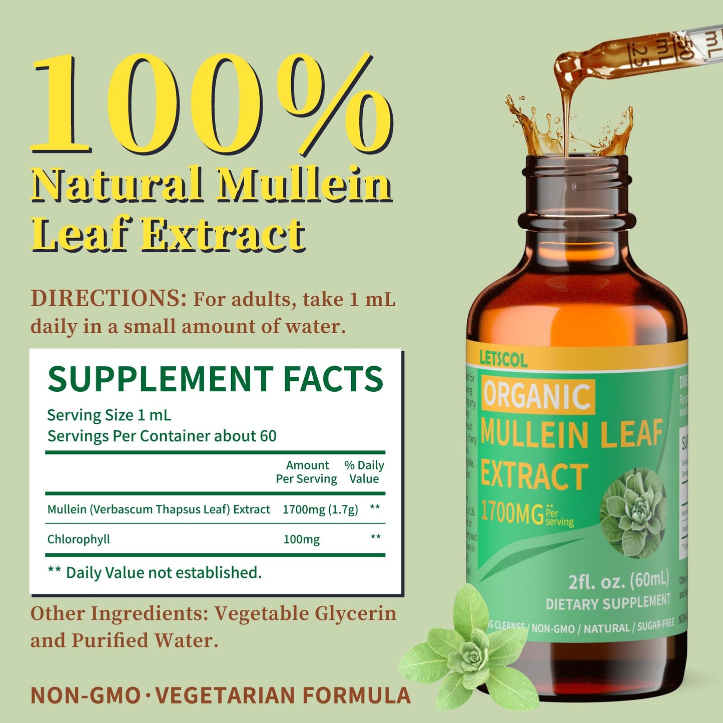 LETSCOL Organic Mullein Drops – 1700mg Mullein Leaf Extract for Lung & Immune Support | Non-GMO, Vegan, 2 Oz