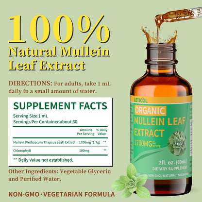 LETSCOL Organic Mullein Drops – 1700mg Mullein Leaf Extract for Lung & Immune Support | Non-GMO, Vegan, 2 Oz