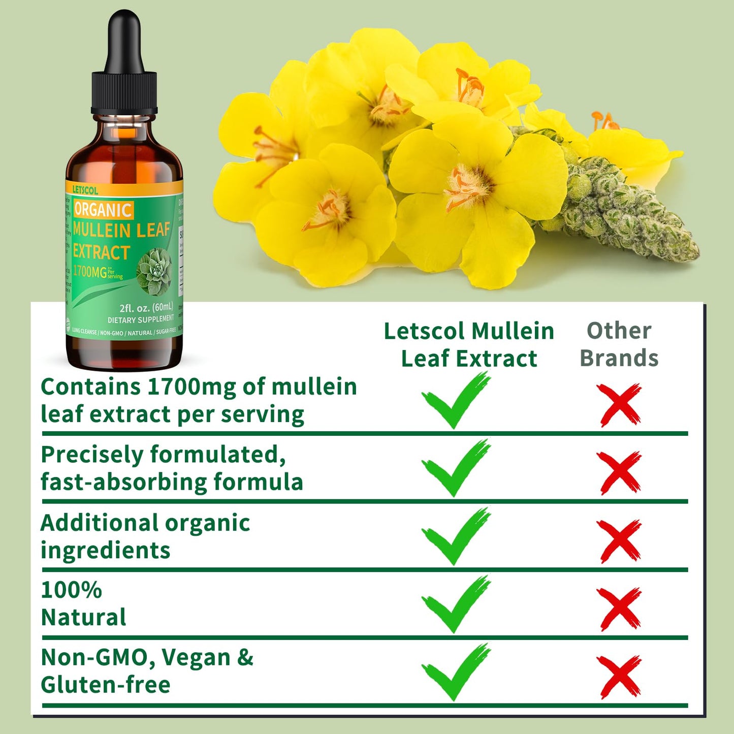 LETSCOL Organic Mullein Drops – 1700mg Mullein Leaf Extract, Non-GMO & Vegan, 2 oz