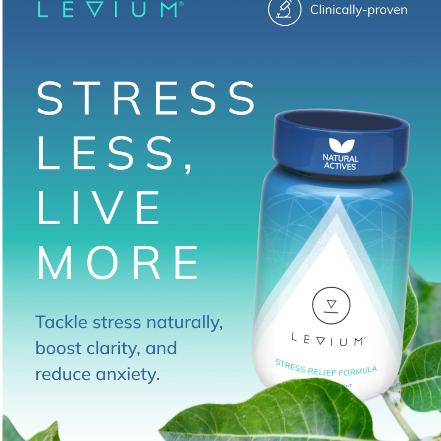 Levium Maximum Strength Stress Relief Supplement | Calming Mood Support with KSM-66 Ashwagandha, GABA & Magnesium | 90 Capsules