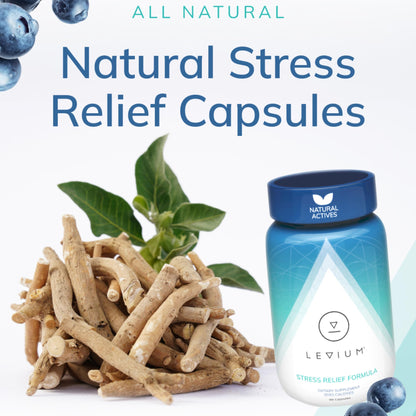 Levium Maximum Strength Stress Relief Supplement | Calming Mood Support with KSM-66 Ashwagandha, GABA & Magnesium | 90 Capsules