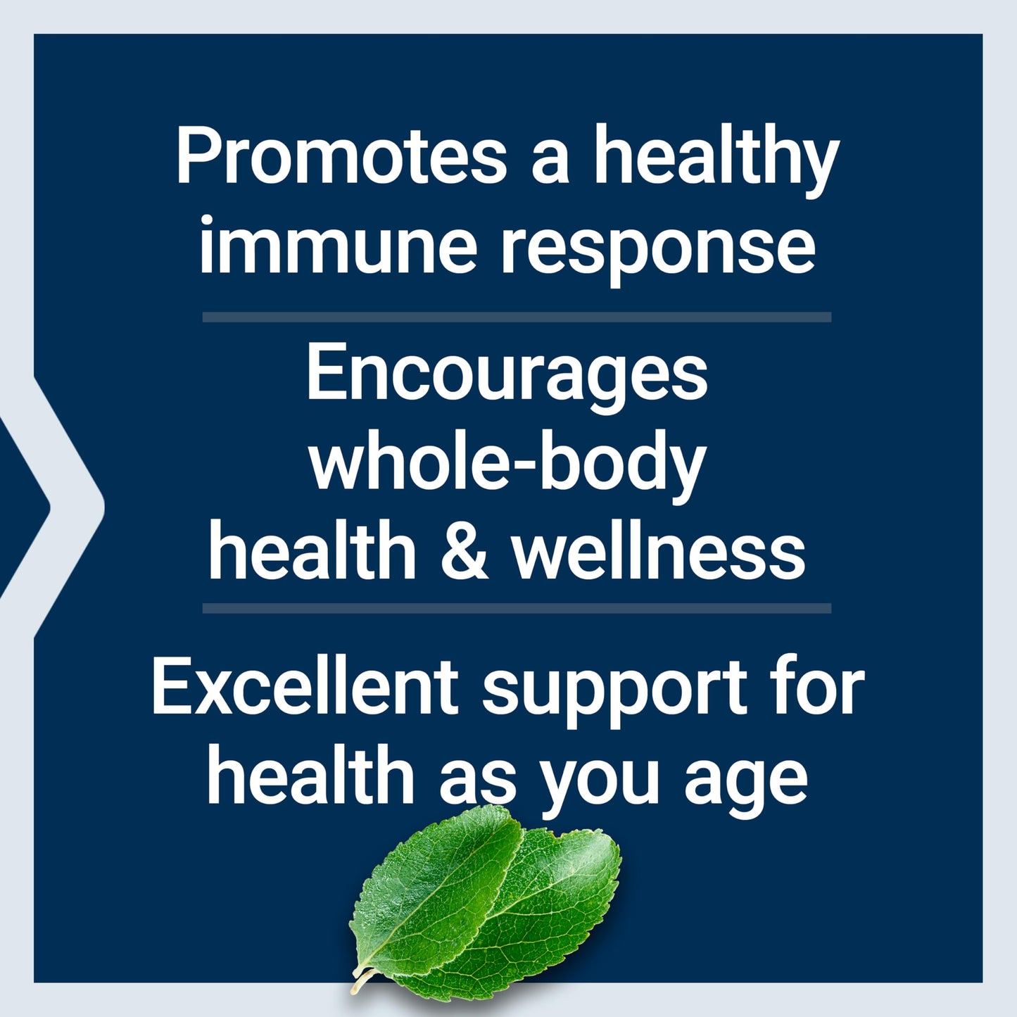 Life Extension Black Cumin Seed Oil – Immune Support & Whole-Body Health, 60 Softgels